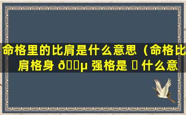 命格里的比肩是什么意思（命格比肩格身 🐵 强格是 ☘ 什么意思）